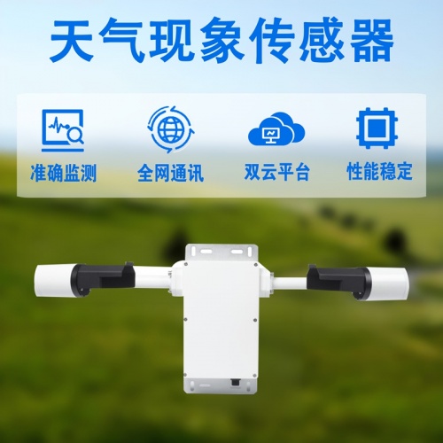 天气现象传感器：感知天气的智慧之眼